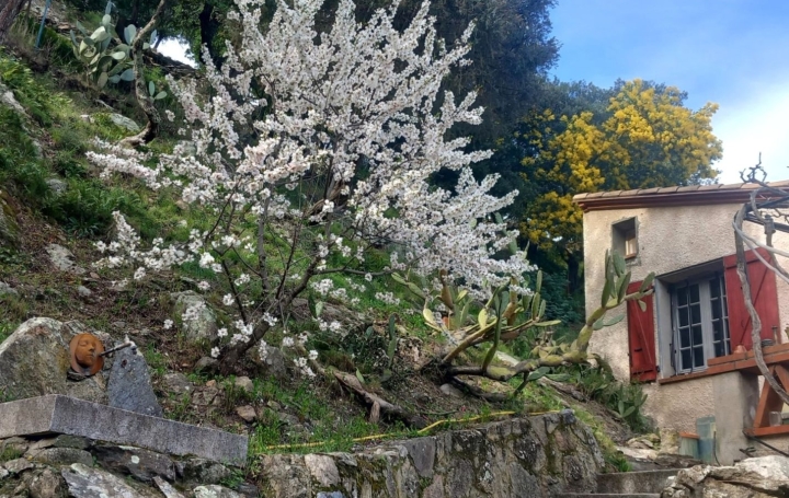 Maison / Villa CERET (66400) 120 m<sup>2</sup> 366 000 € 