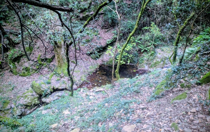 Maison CERET (66400)  120 m2 366 000 € 