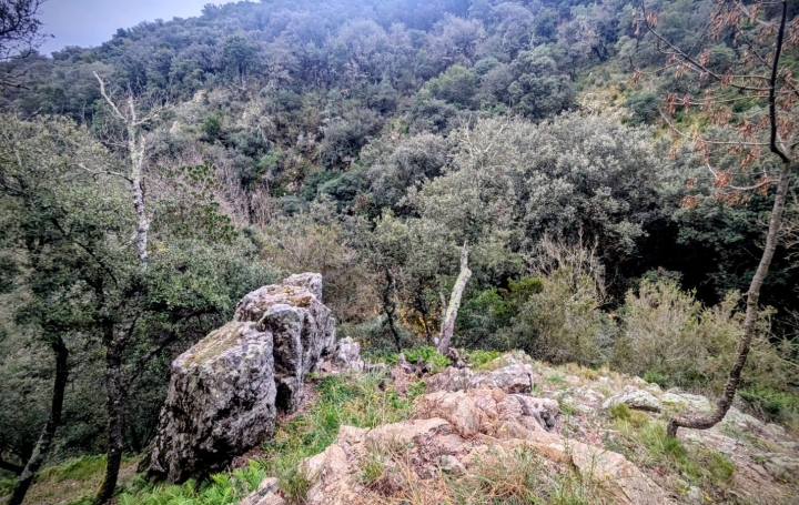 Maison CERET (66400)  120 m2 366 000 € 