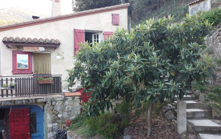 Maison CERET (66400)  120 m2 366 000 € 