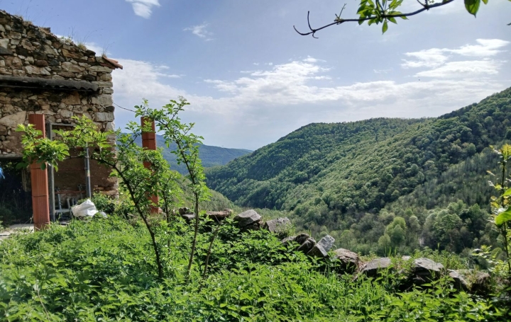 Terrain CORSAVY (66150)   85 000 € 