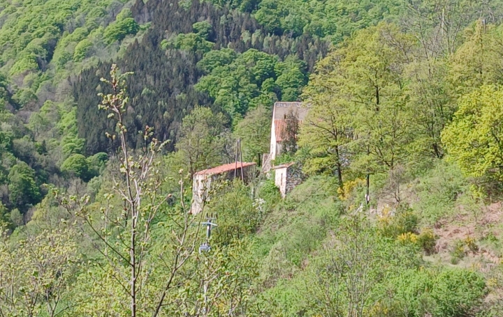 Terrain CORSAVY (66150)   85 000 € 