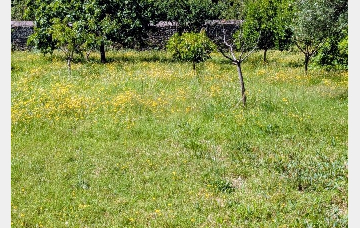 Terrain ARLES-SUR-TECH (66150)   161 000 € 