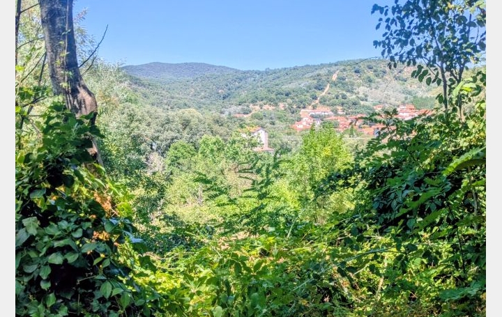 Maison REYNES (66400)  92 m2 245 000 € 