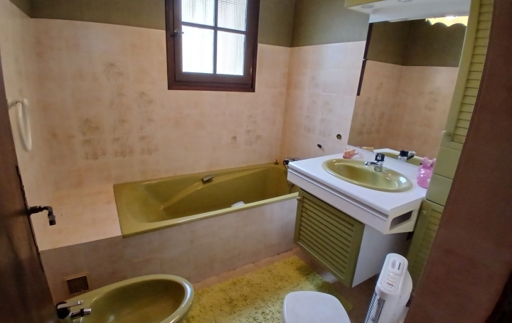 Maison CERET (66400)  162 m2 420 000 € 