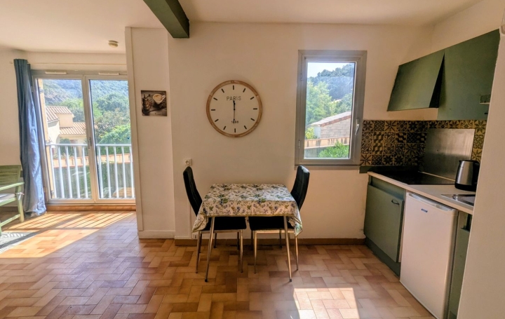 Studio AMELIE-LES-BAINS-PALALDA (66110)  30 m2 46 000 € 