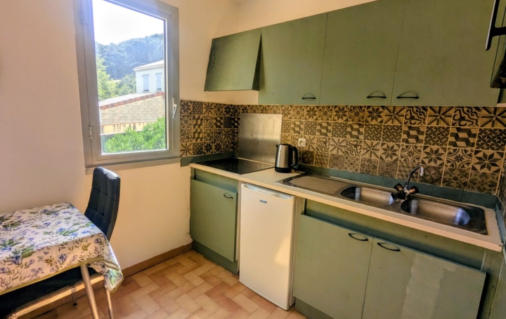 Studio AMELIE-LES-BAINS-PALALDA (66110)  30 m2 46 000 € 