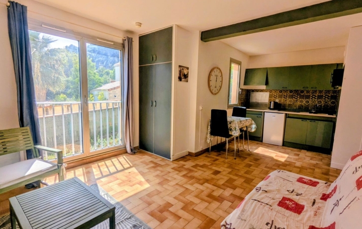 Studio AMELIE-LES-BAINS-PALALDA (66110)  30 m2 46 000 € 