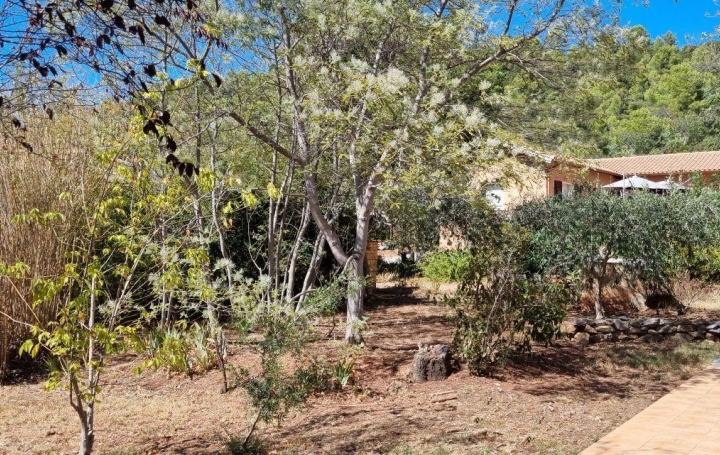 Villa SAINT-CHINIAN (34360)  356 m2 840 000 € 