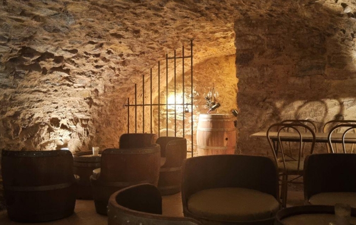 Domaine NARBONNE (11100)  440 m2 1 100 000 € 