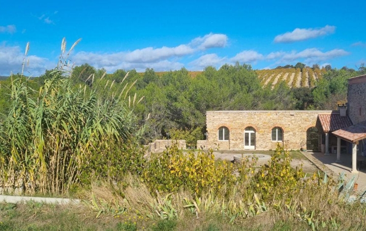 Domaine NARBONNE (11100)  440 m2 1 100 000 € 