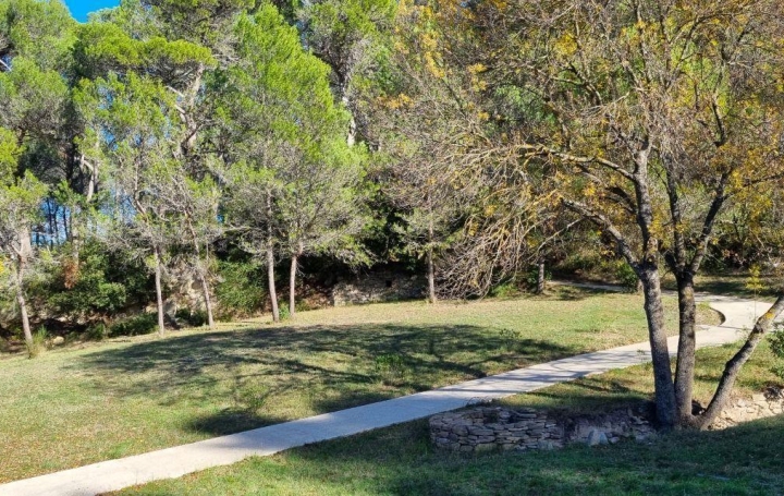 Domaine NARBONNE (11100)  440 m2 1 100 000 € 