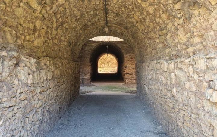 Domaine NARBONNE (11100)  440 m2 1 100 000 € 