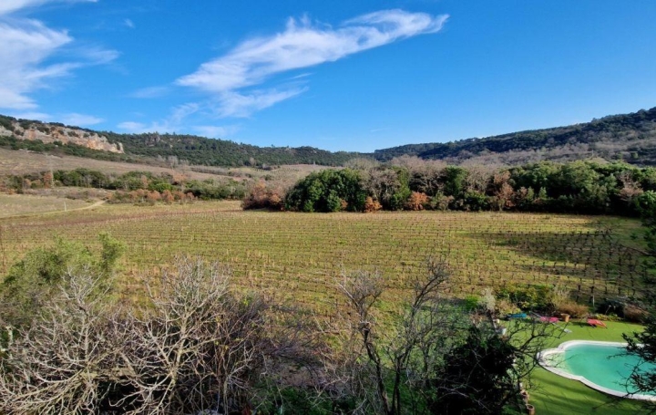 Domaine PEZENAS (34120)  500 m2 1 750 000 € 