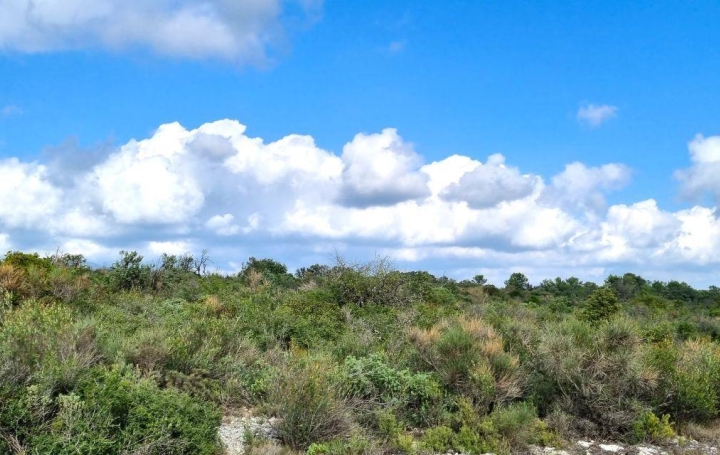 Villa SAINT-CHINIAN (34360)  346 m2 530 000 € 