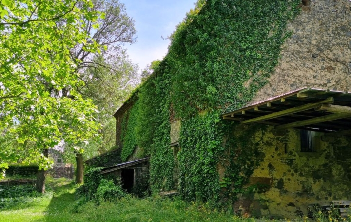 Domaine BEZIERS (34500)  800 m2 1 800 000 € 