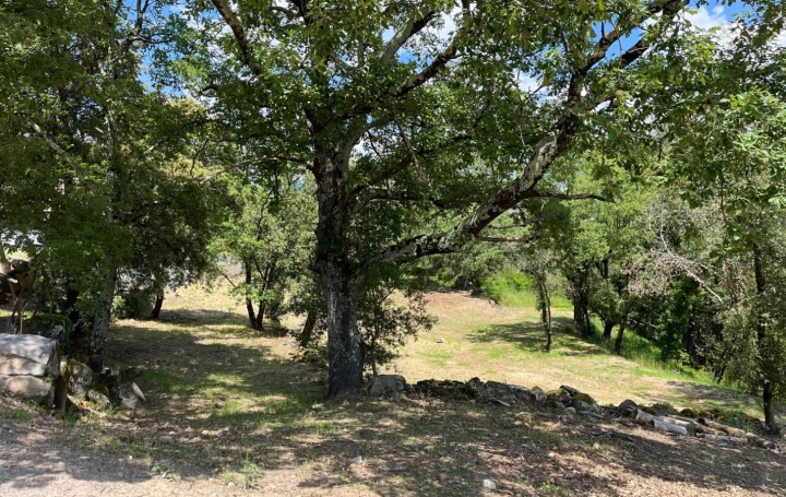 Terrain AUBENAS (07200)   119 000 € 