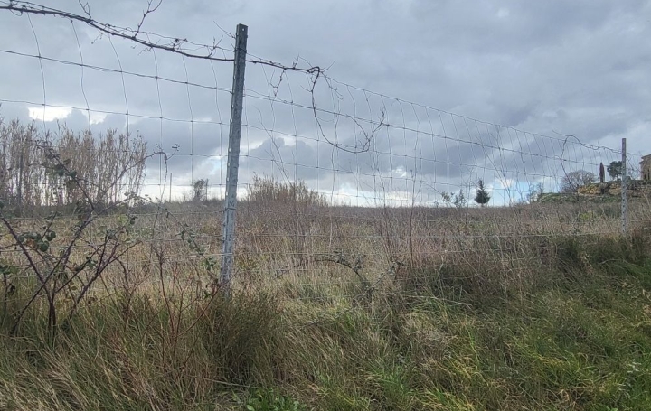 Terrain PAULHAN (34230)   15 000 € 