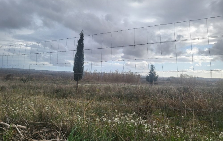 Terrain PAULHAN (34230)   15 000 € 