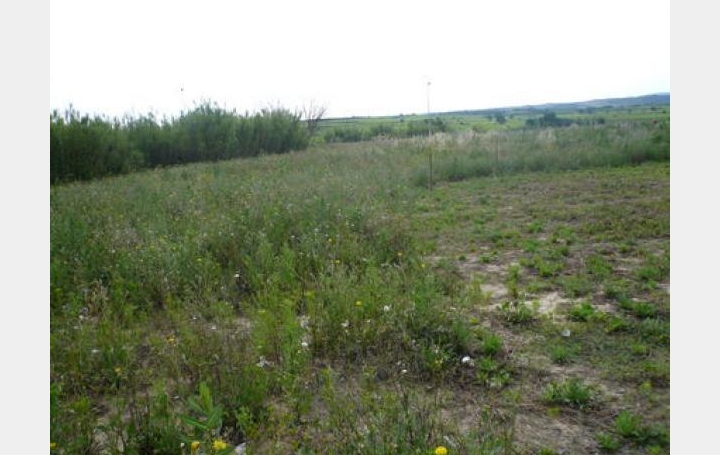 Réseau Immo-diffusion : Terrain  PUILACHER   165 700 € 
