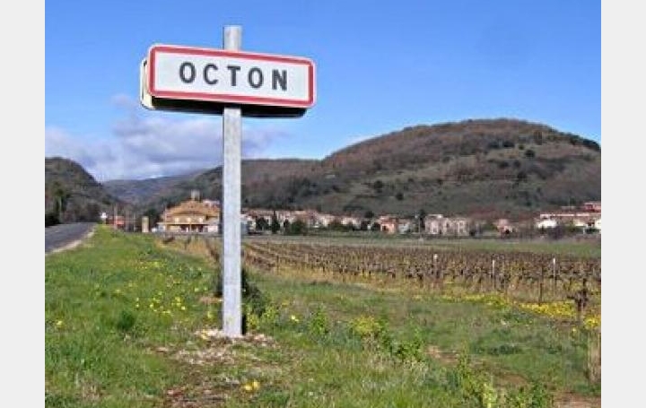 Réseau Immo-diffusion : Terrain  OCTON   105 000 € 