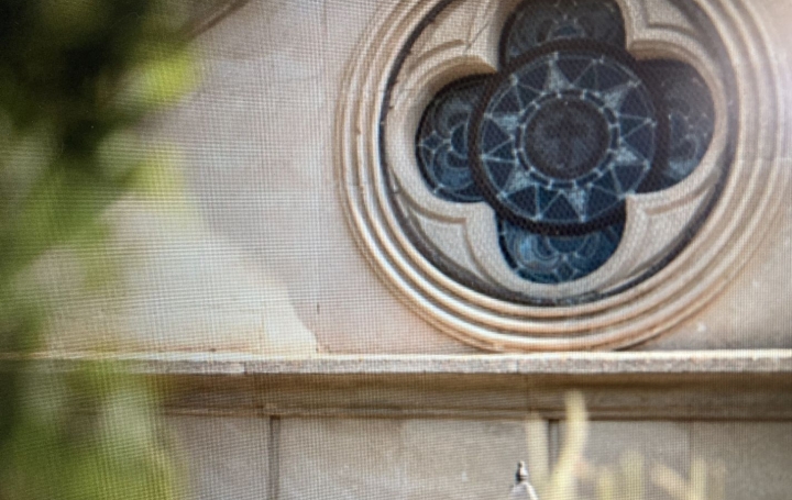 Terrain GINESTAS (11120)  135 m2 86 000 € 