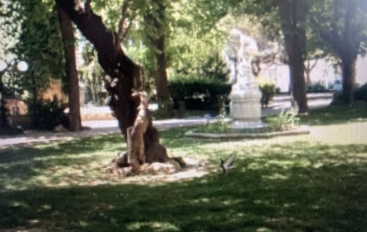 Terrain LEZIGNAN-CORBIERES (11200)  150 m2 64 000 € 