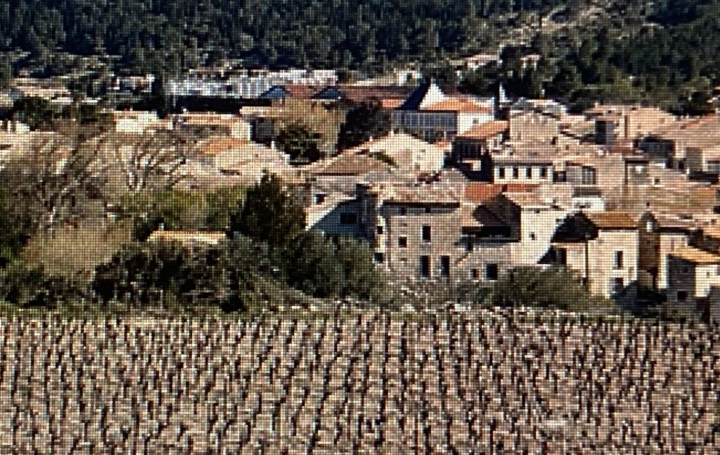 Terrain PORTEL-DES-CORBIERES (11490)  150 m2 89 000 € 