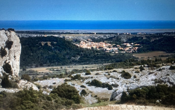 Terrain ROQUEFORT-DES-CORBIERES (11540)  140 m2 95 000 € 