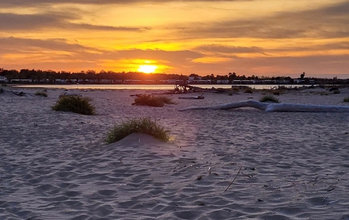 Maison PORTIRAGNES-PLAGE (34420)  45 m2 205 000 € 