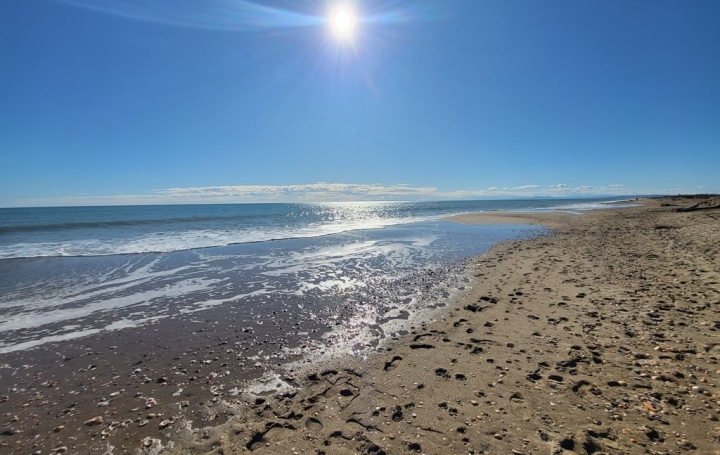 Maison PORTIRAGNES-PLAGE (34420)  40 m2 158 000 € 