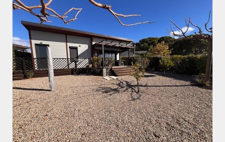 Maison POMEROLS (34810)  42 m2 850 € 