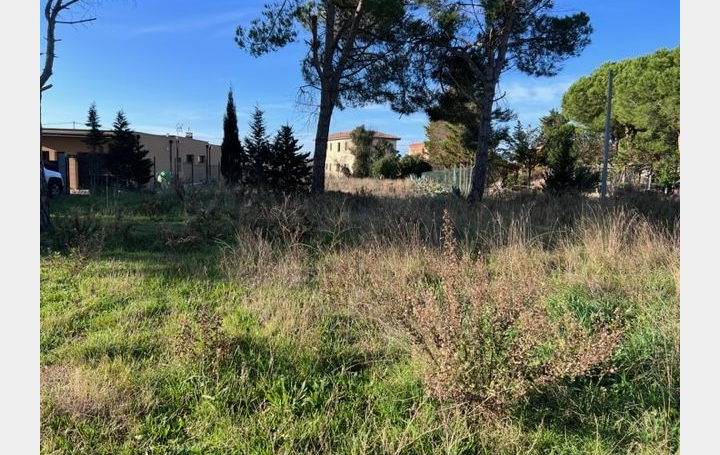 Terrain MARSEILLAN (34340)   313 000 € 