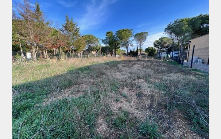 Terrain MARSEILLAN (34340)   313 000 € 