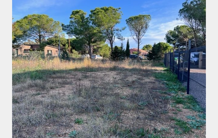 Terrain MARSEILLAN (34340)   313 000 € 