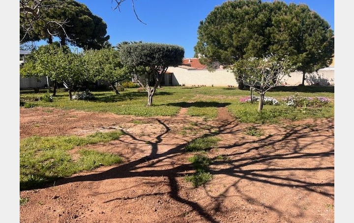 Terrain MARSEILLAN (34340)   520 000 € 