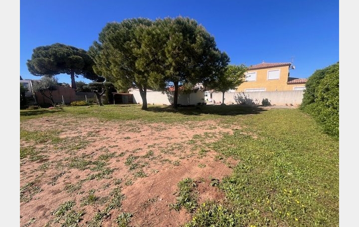 Terrain MARSEILLAN (34340)   520 000 € 