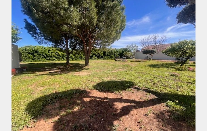 Terrain MARSEILLAN (34340)   520 000 € 