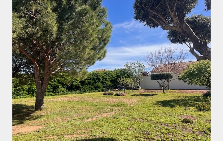 Terrain MARSEILLAN (34340)   520 000 € 