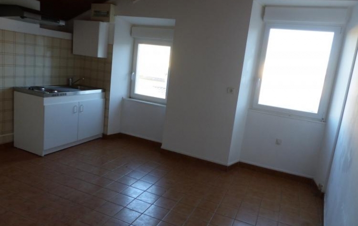 Réseau Immo-diffusion : Appartement P2  SAINT-CHRISTOL-LES-ALES  28 m2 335 € 