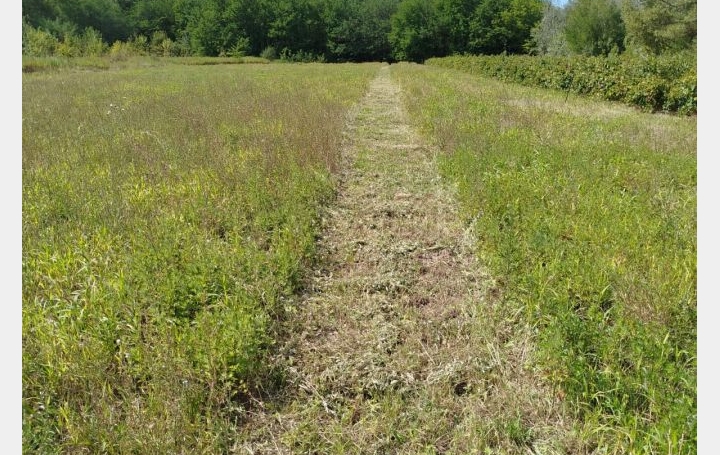 Maison GOUDARGUES (30630)  208 m2 200 000 € 