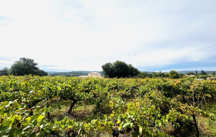 Terrain GOUDARGUES (30630)   255 600 € 