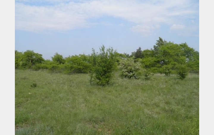 Réseau Immo-diffusion : Terrain  SAINT-CHRISTOL-DE-RODIERES   79 000 € 