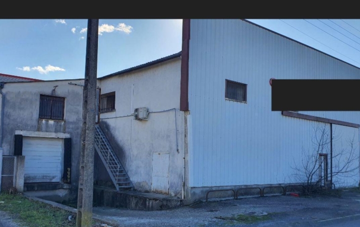 Local commercial   ALES  800 m2 575 000 € 