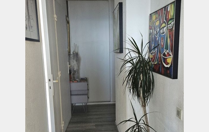 3 Pièces SETE (34200)  35 m2 149 000 € 