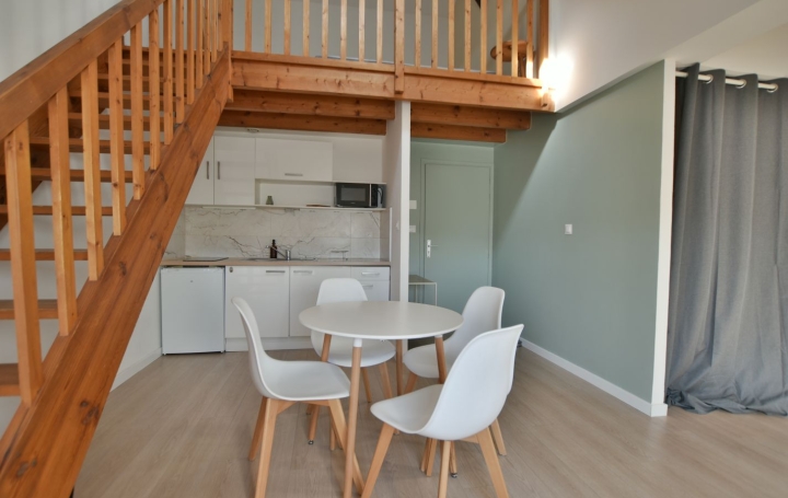 Studio CHOLET (49300)  33 m2 580 € 