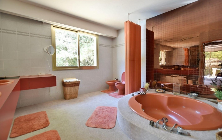 Maison TREMENTINES (49340)  252 m2 358 800 € 