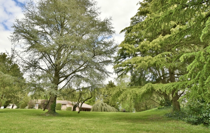 Maison CHOLET (49300)  267 m2 540 800 € 