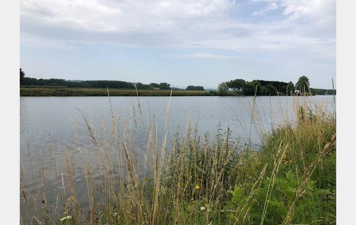 Réseau Immo-diffusion : Propriété  PEYREHORADE  210 m2 525 000 € 