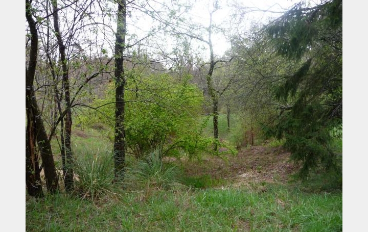 Réseau Immo-diffusion : Terrain  SAINT-MARTIN-DE-SEIGNANX   182 000 € 